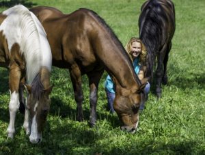 Teddie and her horses
