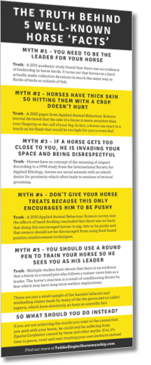 5 Myths PDF Poster